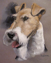 Портреты животных